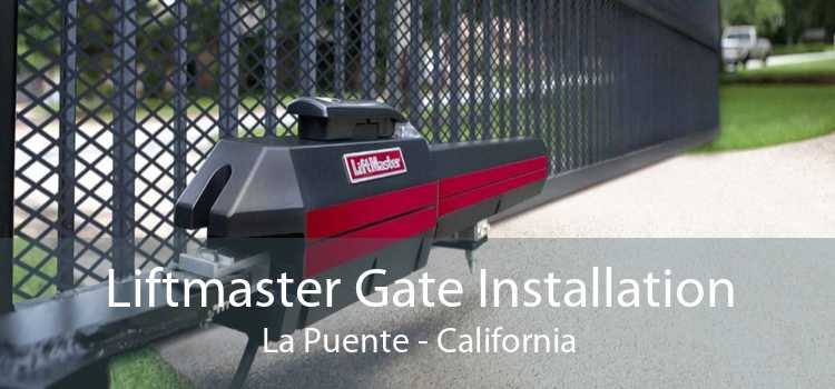 Liftmaster Gate Installation La Puente - California