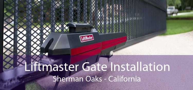 Liftmaster Gate Installation Sherman Oaks - California