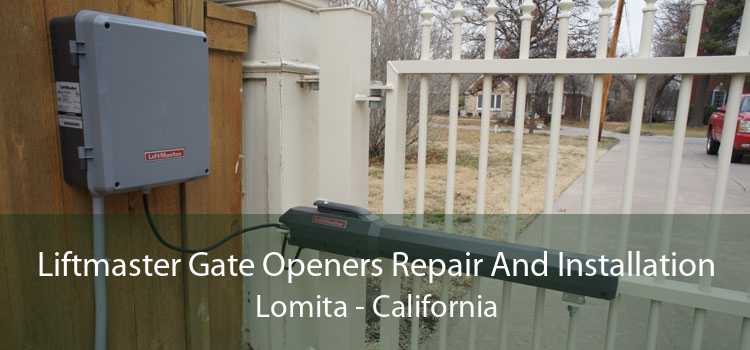 Liftmaster Gate Openers Repair And Installation Lomita - California