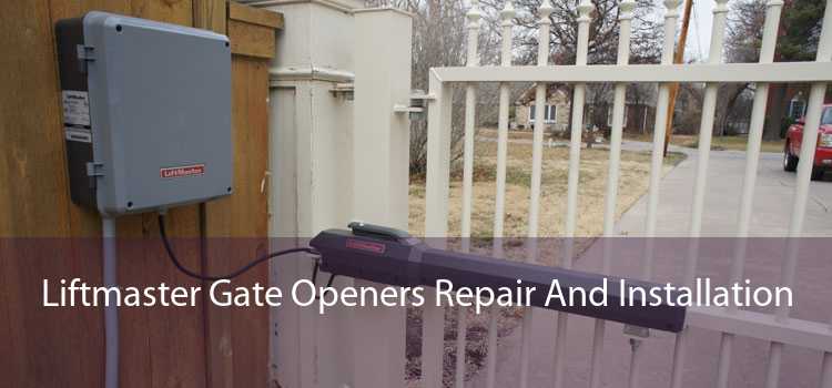 Liftmaster Gate Openers Repair And Installation 
