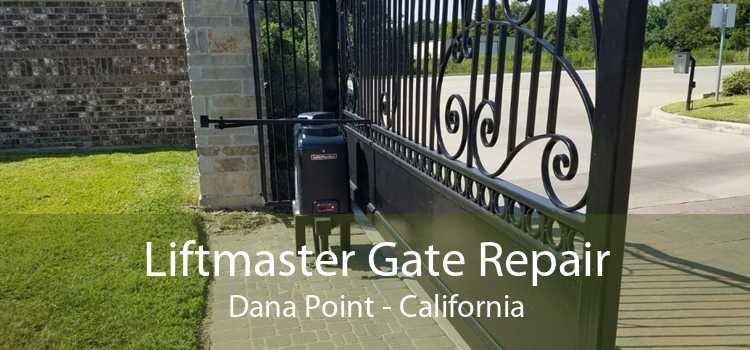 Liftmaster Gate Repair Dana Point - California