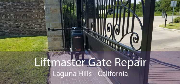Liftmaster Gate Repair Laguna Hills - California
