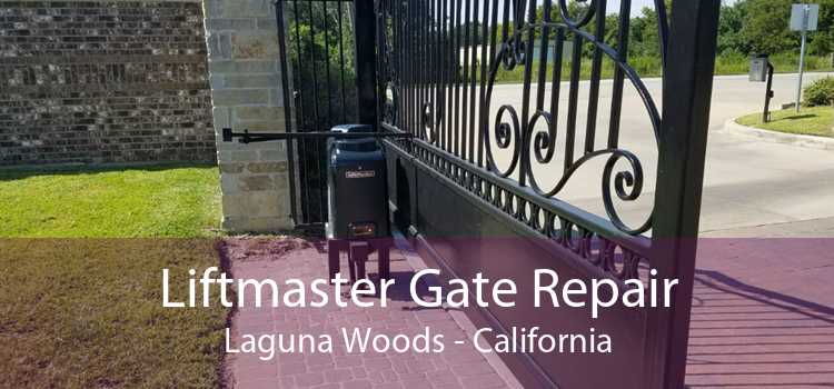Liftmaster Gate Repair Laguna Woods - California