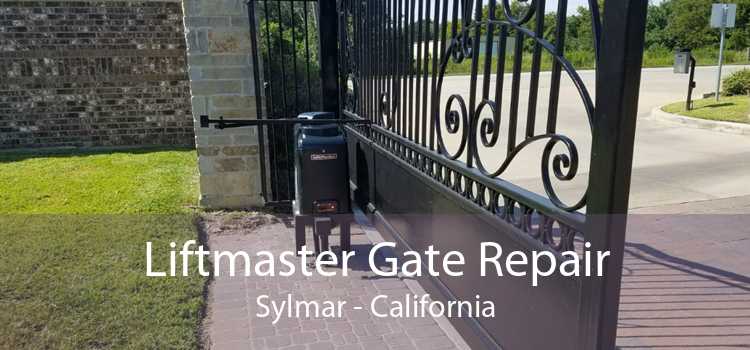 Liftmaster Gate Repair Sylmar - California