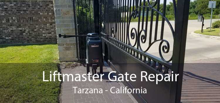 Liftmaster Gate Repair Tarzana - California