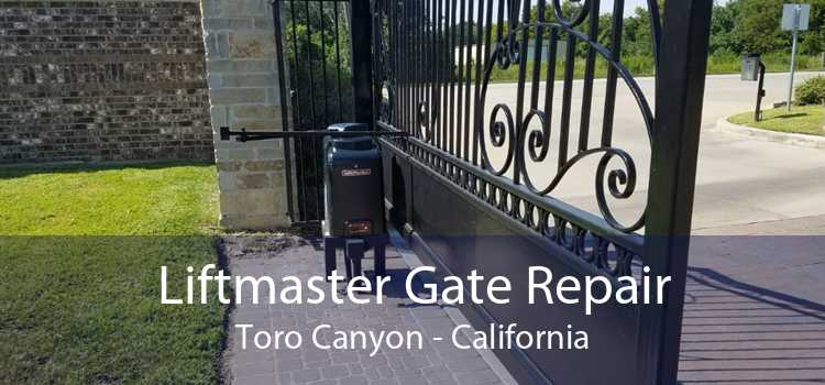 Liftmaster Gate Repair Toro Canyon - California