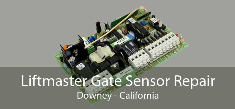 Liftmaster Gate Sensor Repair Downey - California
