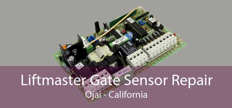 Liftmaster Gate Sensor Repair Ojai - California