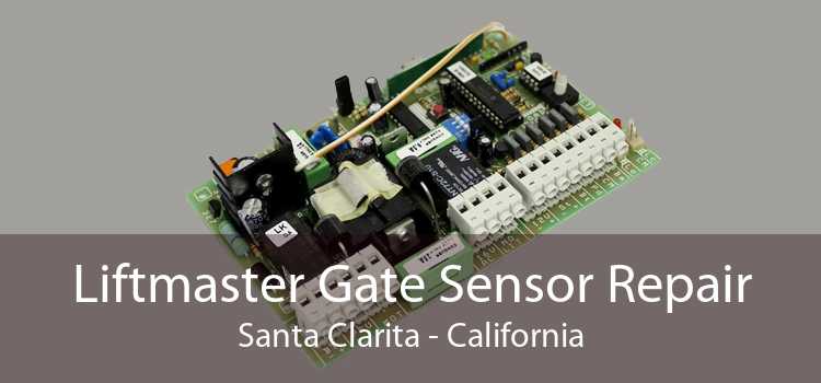 Liftmaster Gate Sensor Repair Santa Clarita - California