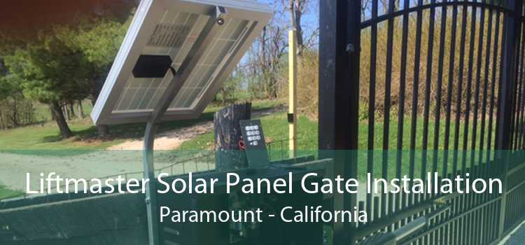 Liftmaster Solar Panel Gate Installation Paramount - California
