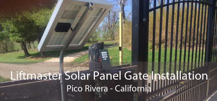 Liftmaster Solar Panel Gate Installation Pico Rivera - California