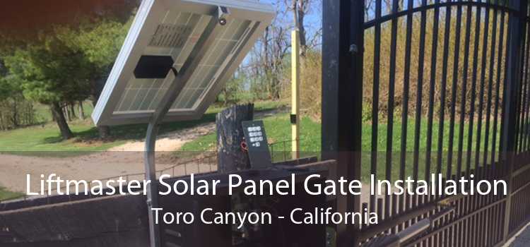 Liftmaster Solar Panel Gate Installation Toro Canyon - California