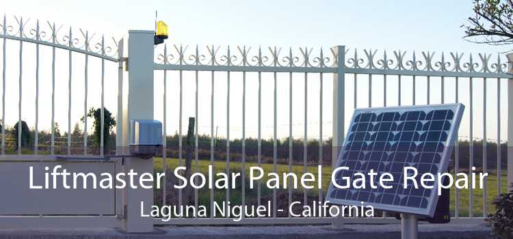 Liftmaster Solar Panel Gate Repair Laguna Niguel - California