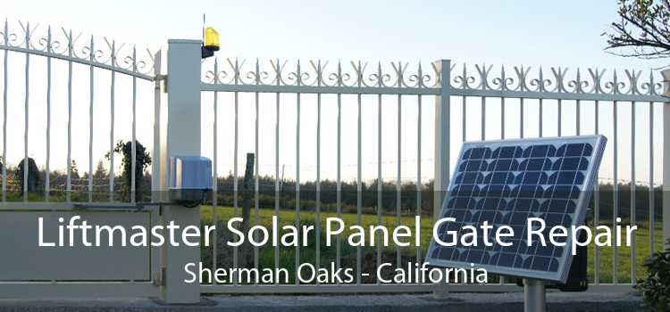 Liftmaster Solar Panel Gate Repair Sherman Oaks - California
